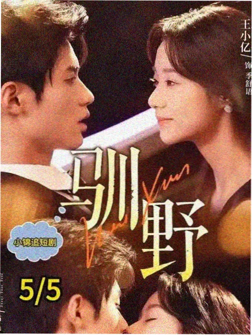 第五个春天剧集海报