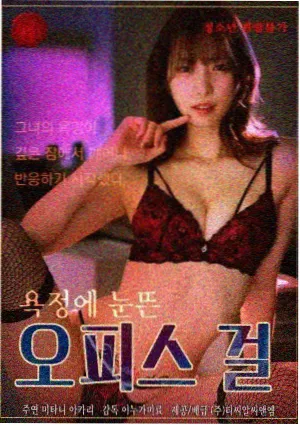 汉江以南剧集海报